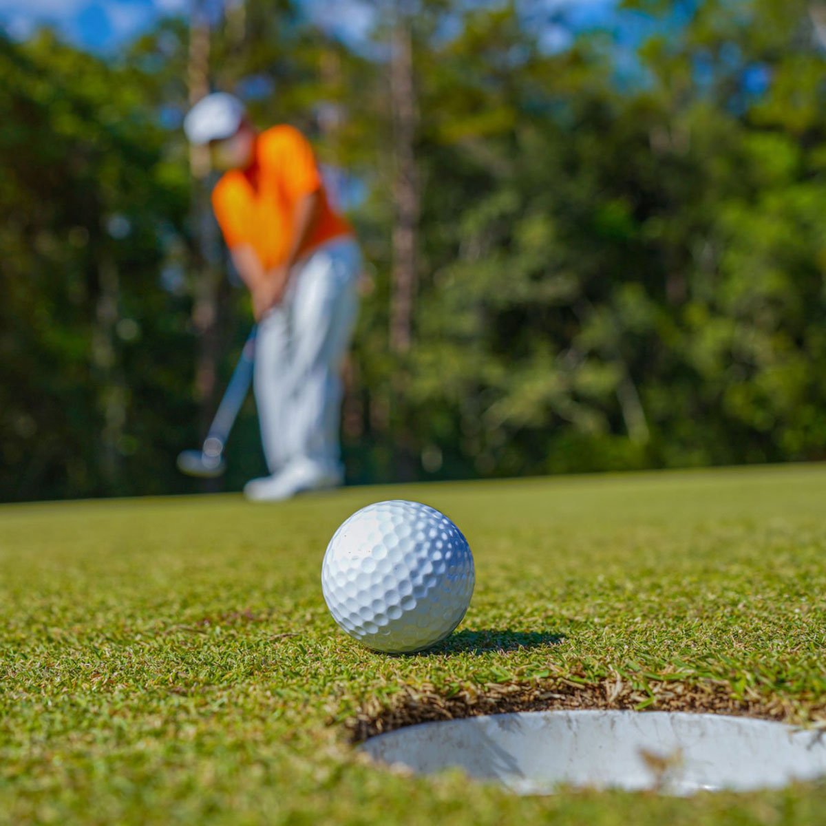 Golfer putting ball on green